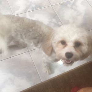 Meet your Posher, Clothes